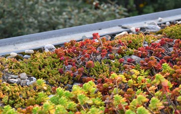 the cost of Higher Woodsford green roof installation