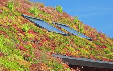 Higher Woodsford living roof systems