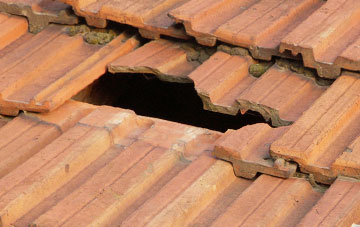 roof repair Higher Woodsford, Dorset