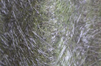 Higher Woodsford fibreglass roof work